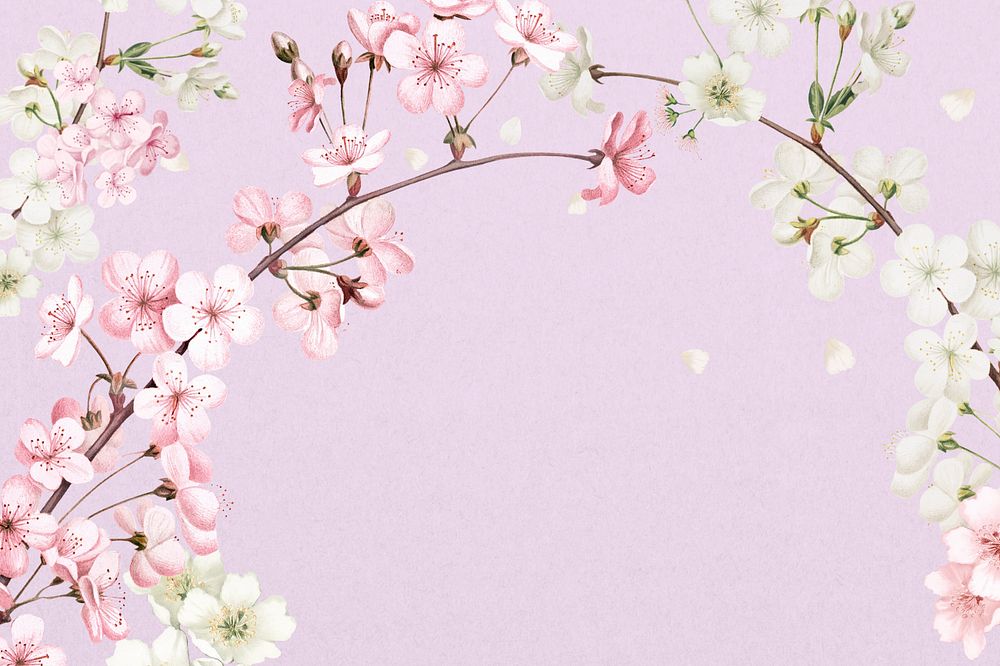 Japanese cherry blossom background, pink flowers illustration, editable design