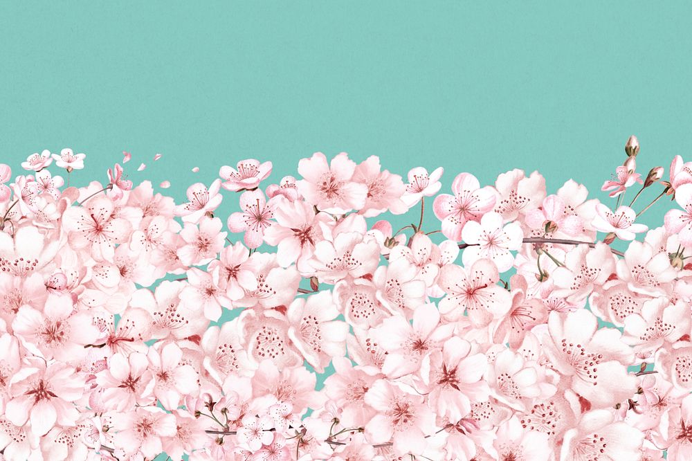 Japanese Sakura flower background, pink botanical illustration, editable design