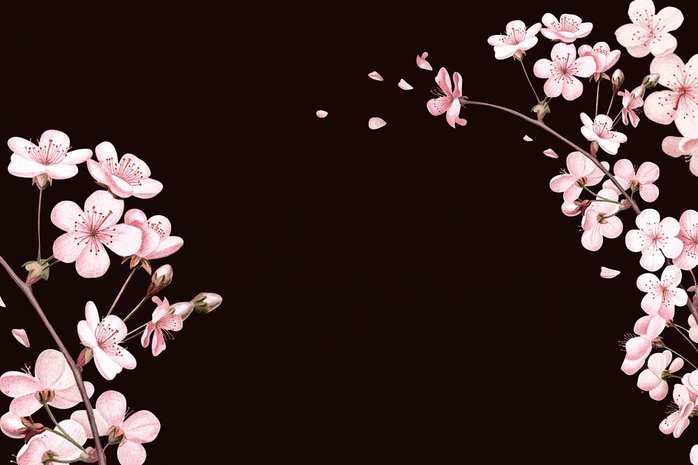 Japanese cherry blossom background, pink flowers illustration, editable design