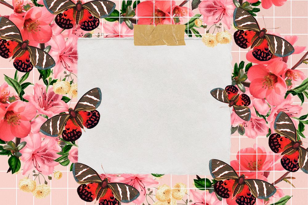 Pink butterfly frame, note paper collage, editable design