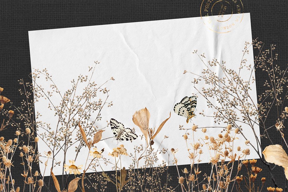 Autumn aesthetic frame, leaf branch and butterfly collage, editable design