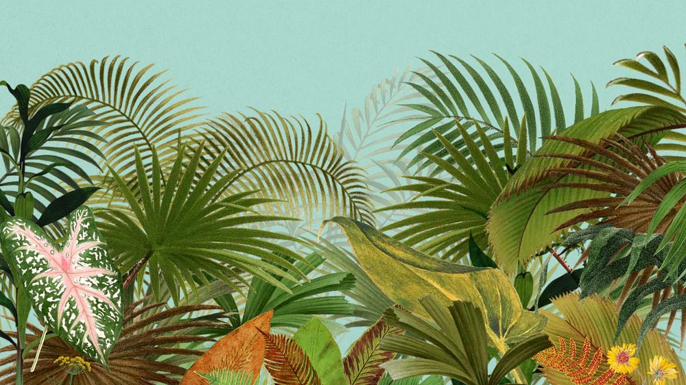 Tropical palm trees desktop wallpaper, botanical border background, editable design