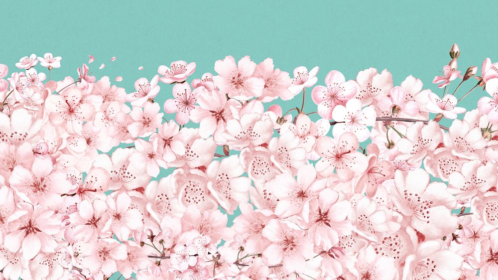 Japanese sakura flower desktop wallpaper, pink botanical background, editable design