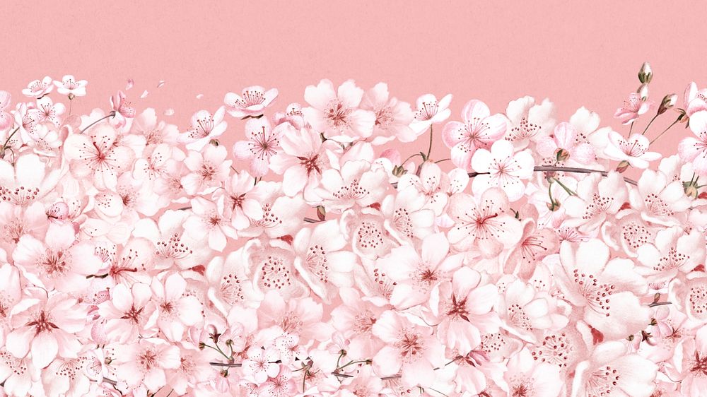 Japanese sakura flower desktop wallpaper, pink botanical background, editable design