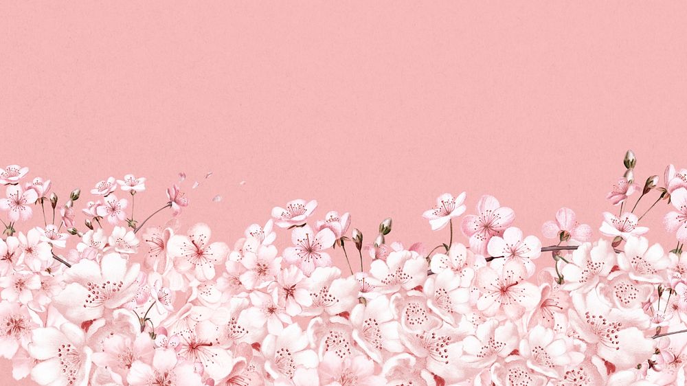 Japanese cherry blossom HD wallpaper, pink flowers background, editable design