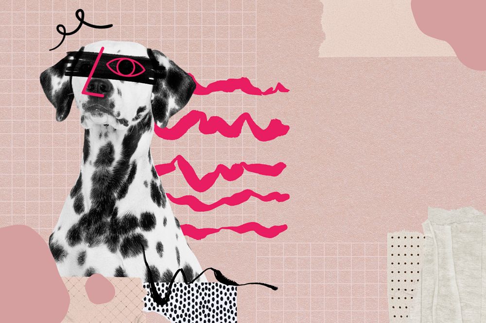 Cool Dalmatian dog, editable collage remix with copy space