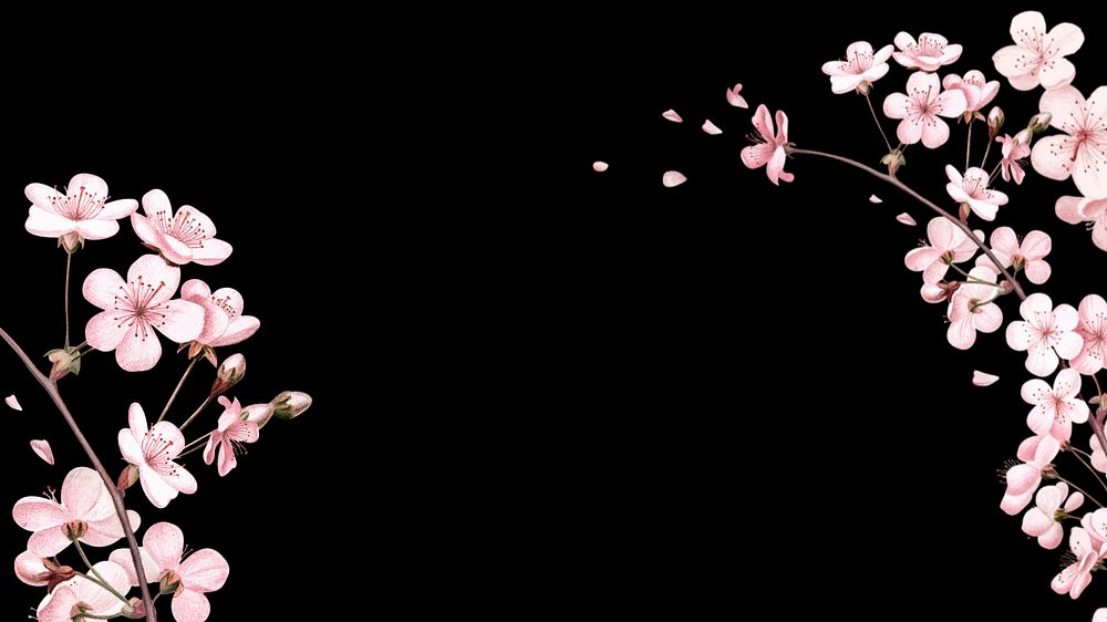 Japanese cherry blossom HD wallpaper, pink flowers background, editable design