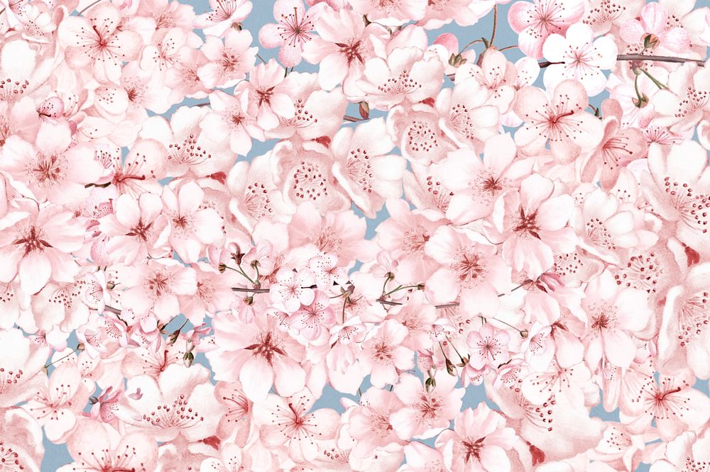 Spring cherry blossom flower pattern, pink botanical illustration, editable design