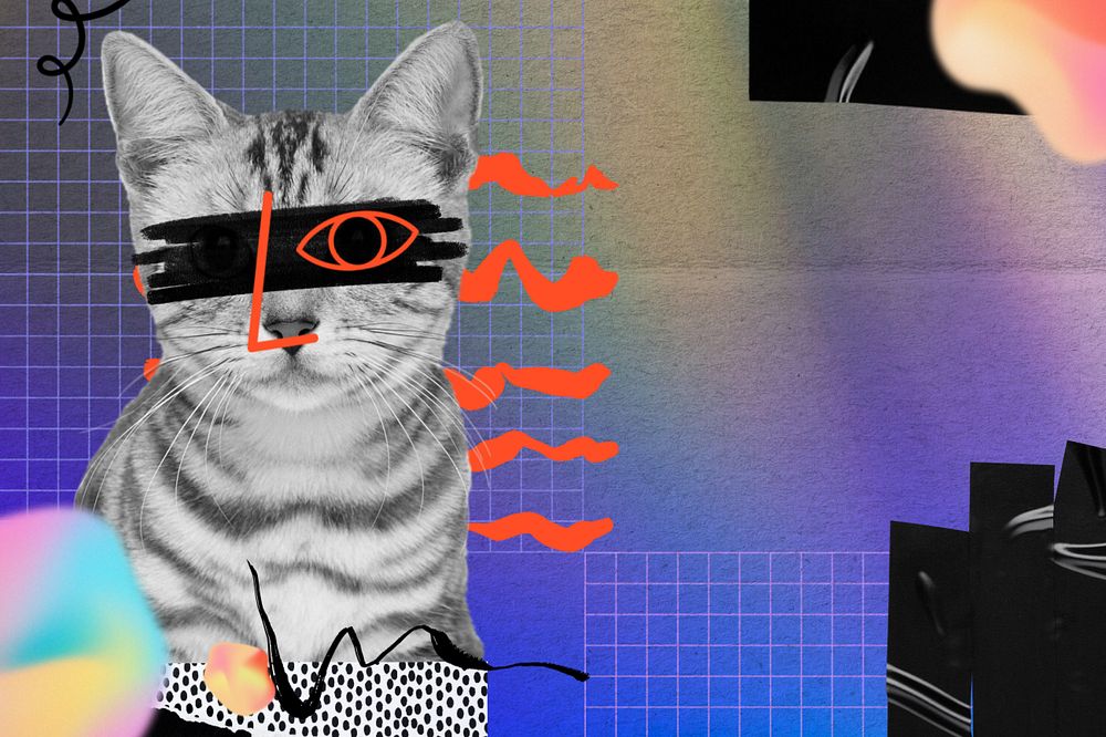 American shorthair cat, editable collage remix with copy space