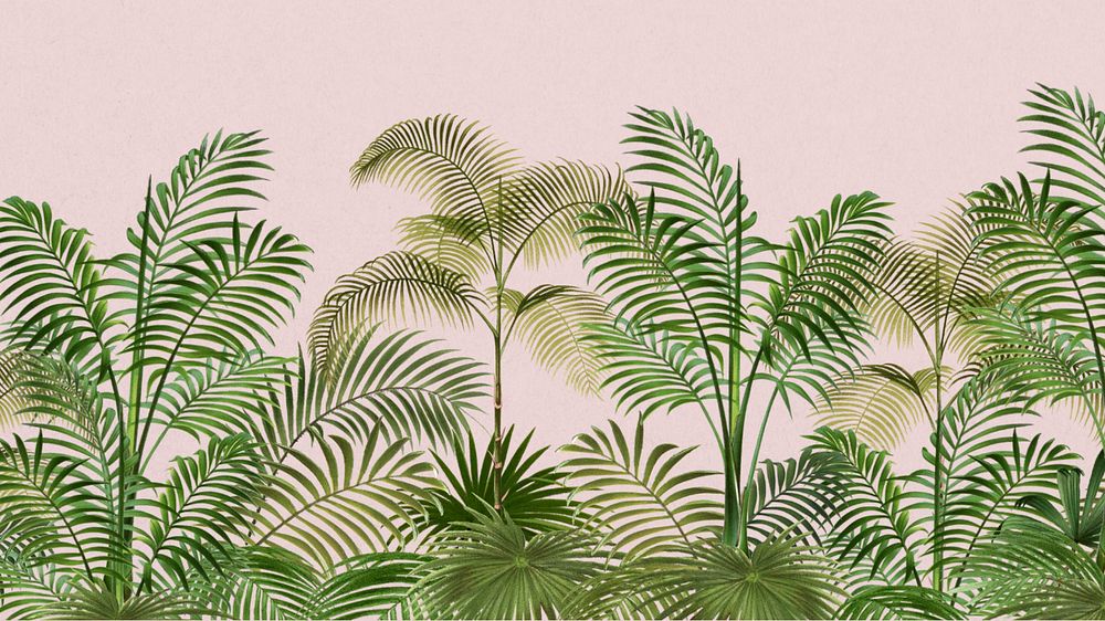 Tropical palm trees desktop wallpaper, botanical border background, editable design