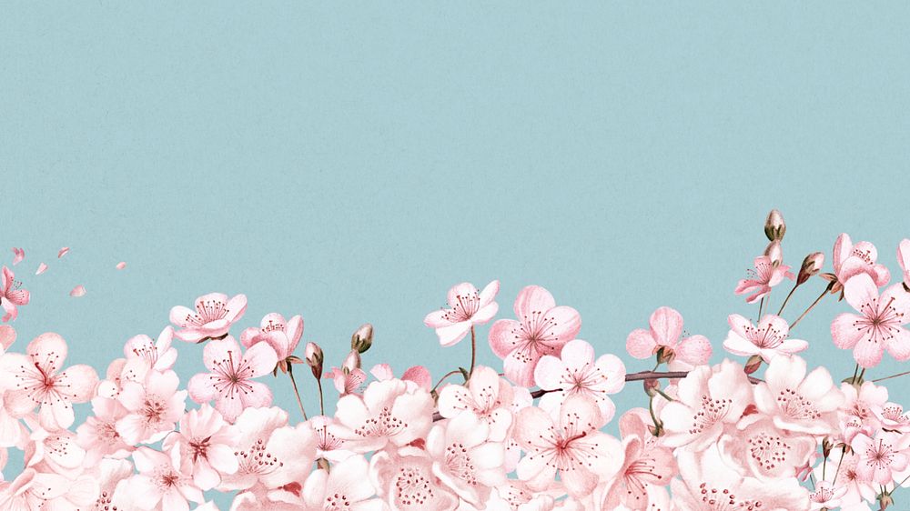 Japanese cherry blossom HD wallpaper, pink flowers background, editable design