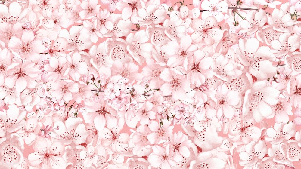 Cherry blossom pattern computer wallpaper, botanical illustration, editable design