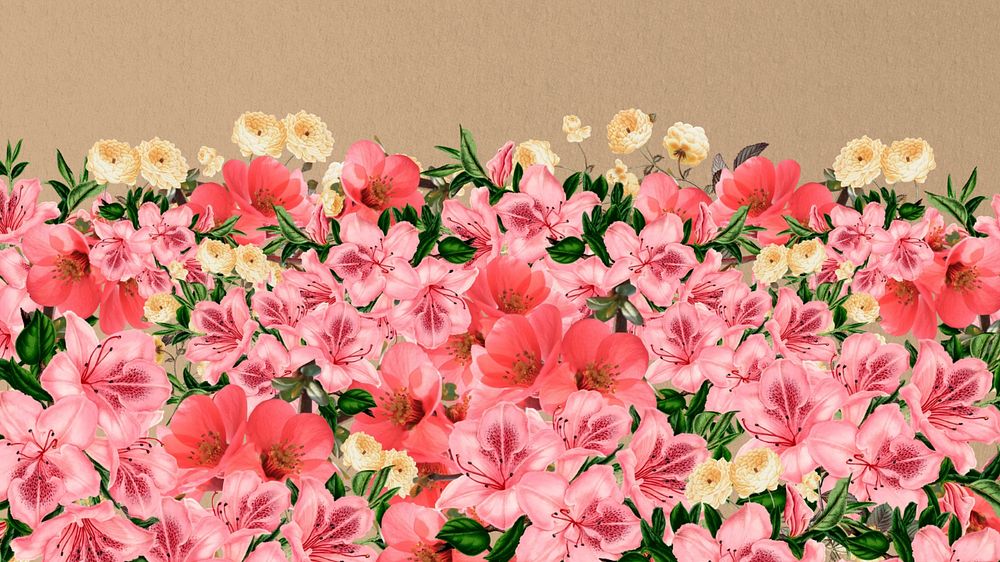 Spring azalea flowers computer wallpaper, pink botanical border background, editable design