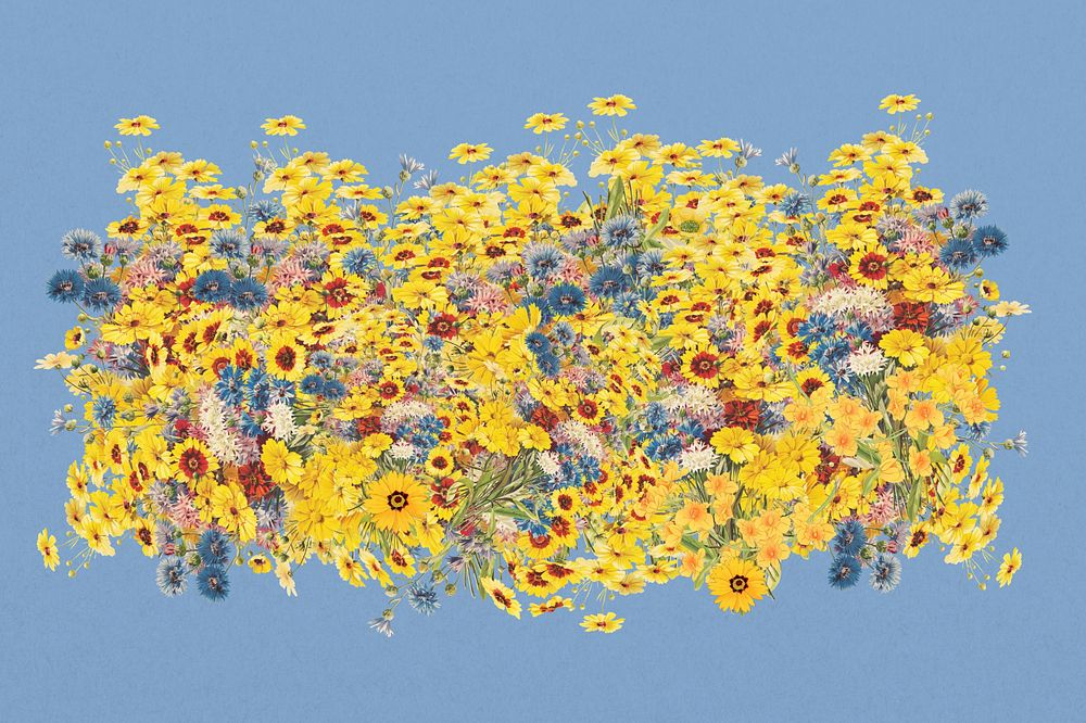 Yellow wildflower divider, colorful botanical illustration, editable design