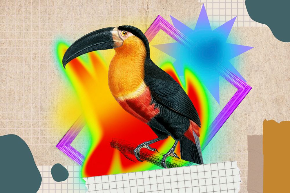 Toucan bird collage art, colorful gradient shape tape, editable design