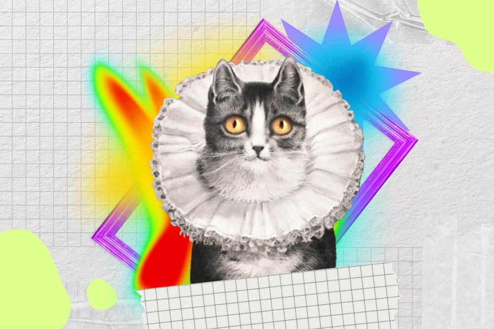 Cute cat collage art, colorful gradient shape tape, editable design