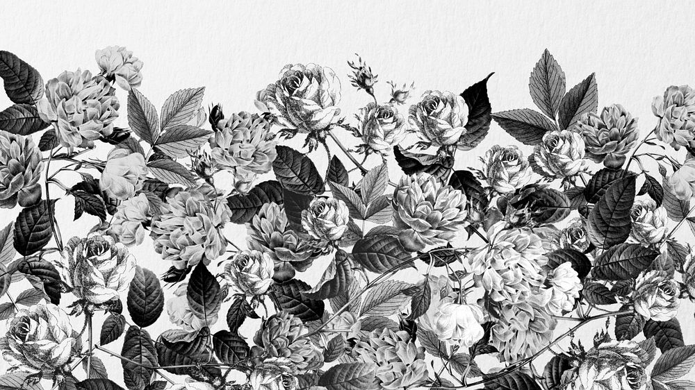 Wild roses computer wallpaper, black and white illustration, editable design