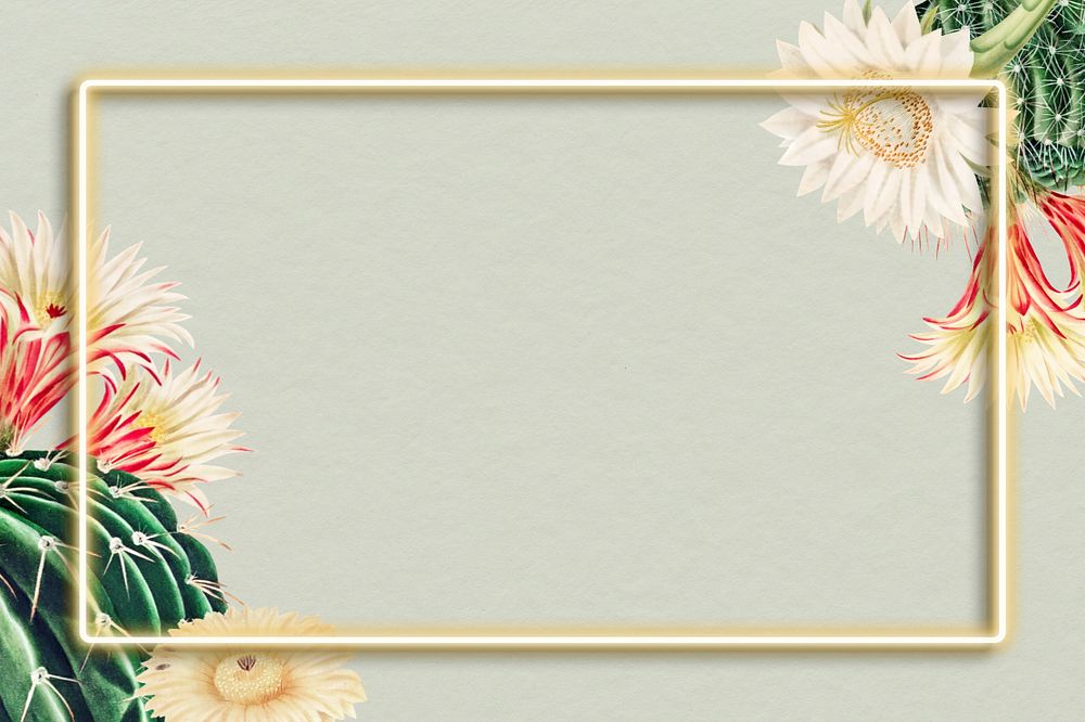 Cactus illustration border frame, editable botanical design