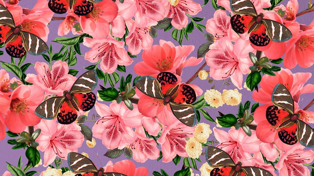 Pink azalea flower computer wallpaper, Chinese quince botanical illustration, editable design