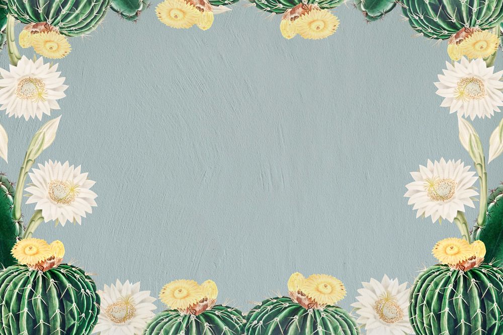 Cactus illustration border frame, editable botanical design