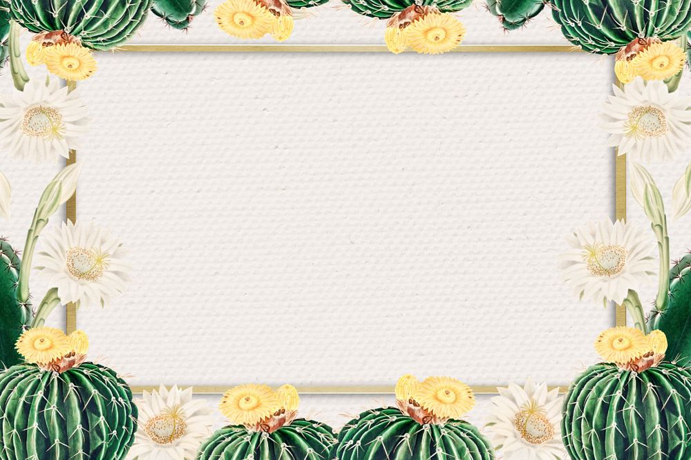 Cactus illustration border frame, editable botanical design