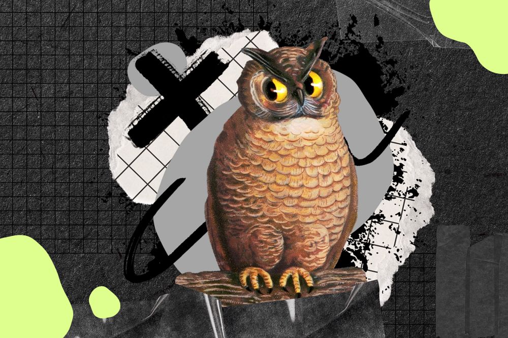 Owl, urban street, editable design