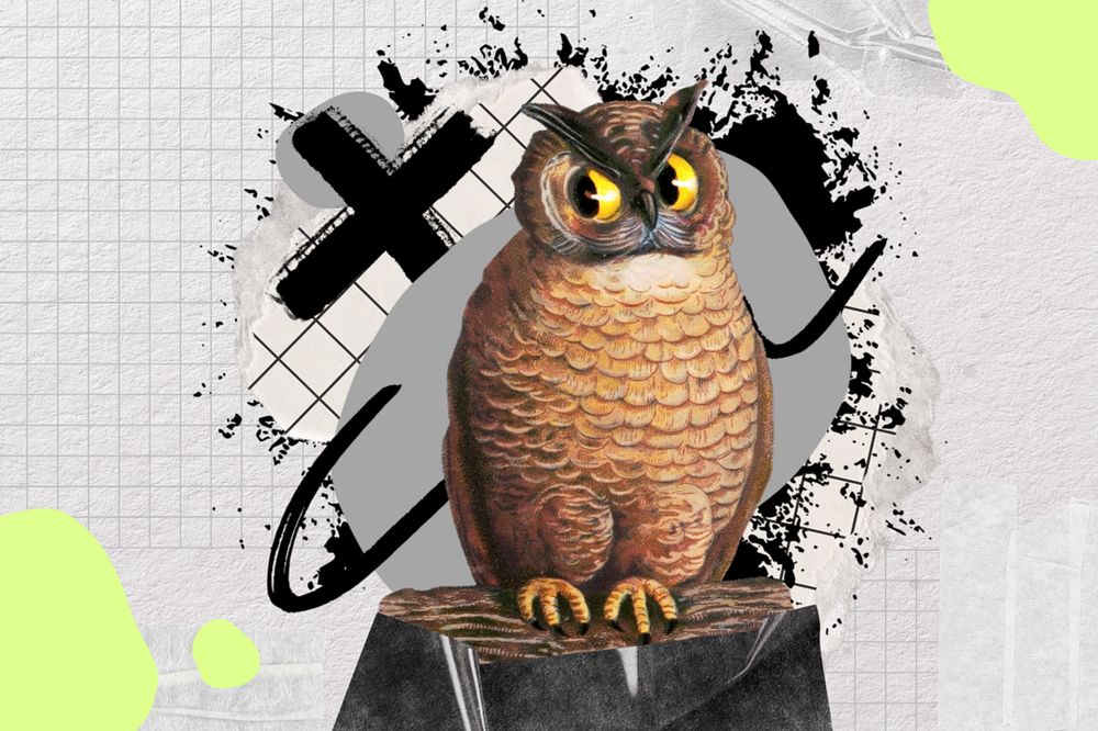 Owl, urban street, editable design