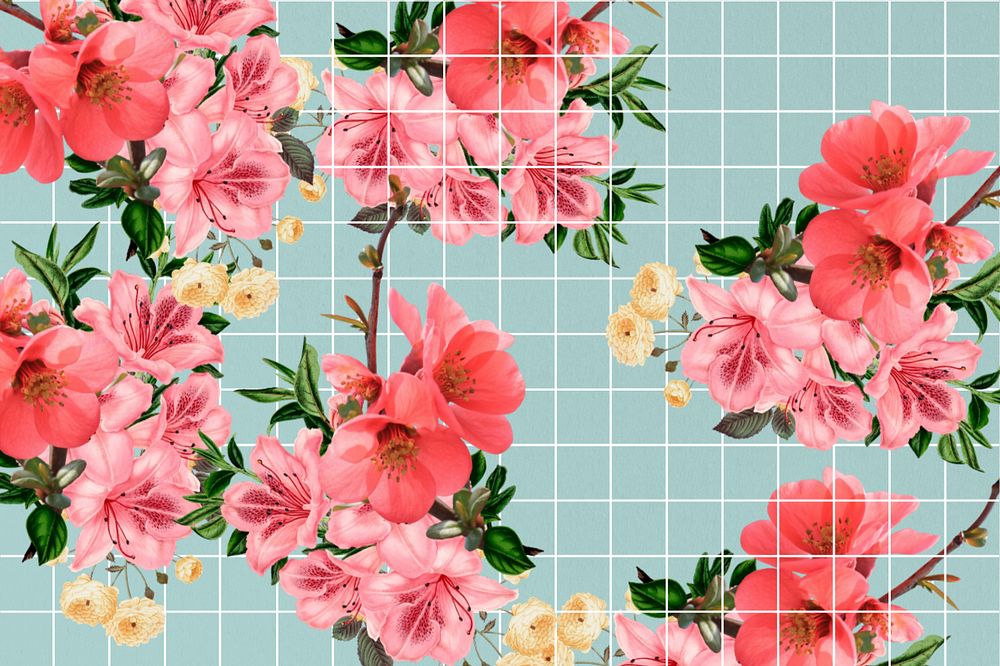 Chinese quince flower background, aesthetic grid design, editable design