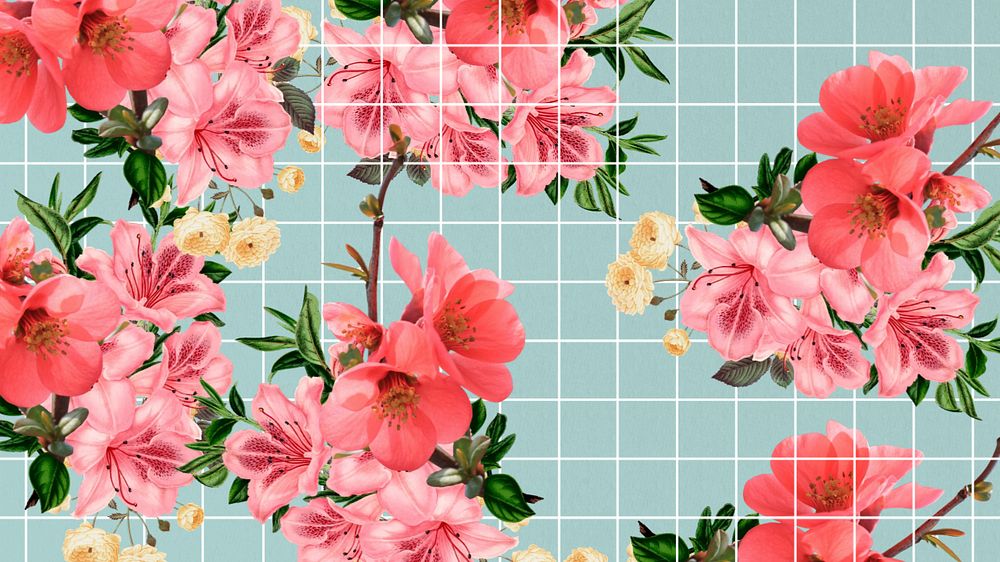 Chinese quince flower desktop wallpaper, aesthetic grid background, editable design