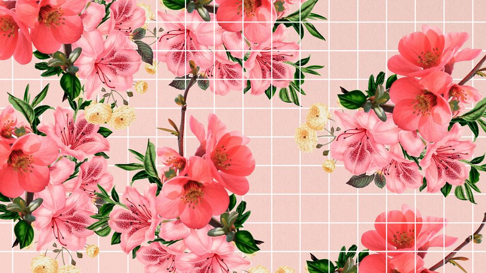 Chinese quince flower desktop wallpaper, aesthetic grid background, editable design