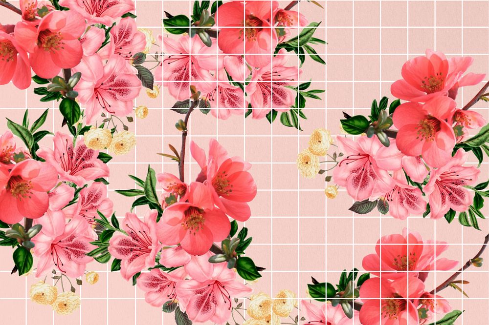 Chinese quince flower background, aesthetic grid design, editable design