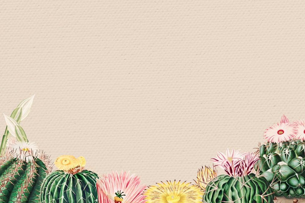 Cactus illustration border, editable background design