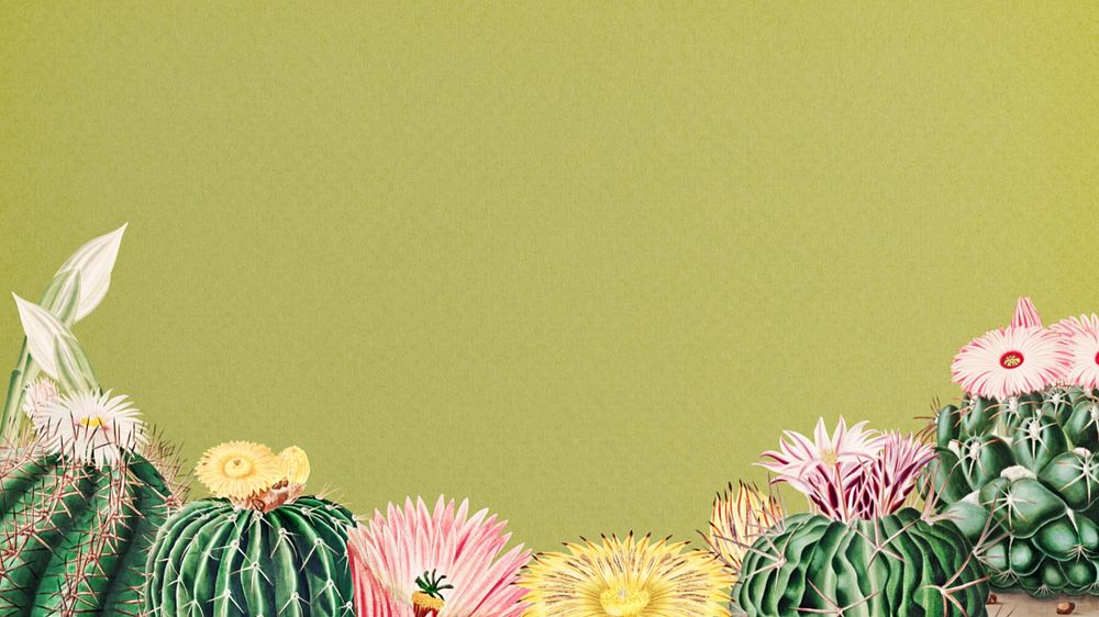 Cactus illustration desktop wallpaper, editable design