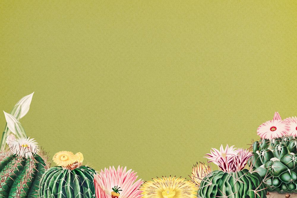 Cactus illustration border, editable background design