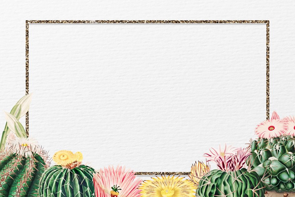 Aesthetic cactus border frame, editable botanical design