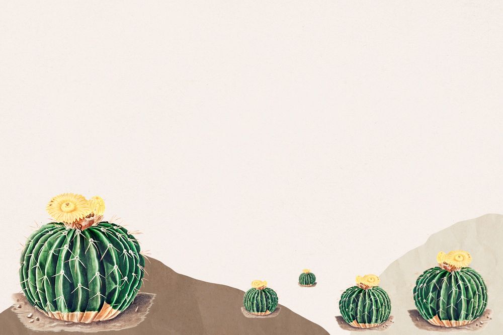 Cactus illustration border, editable background design