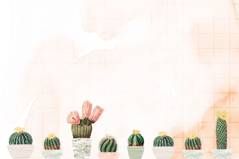 Cactus illustration border, editable background design