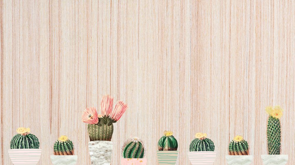 Cactus illustration desktop wallpaper, editable design