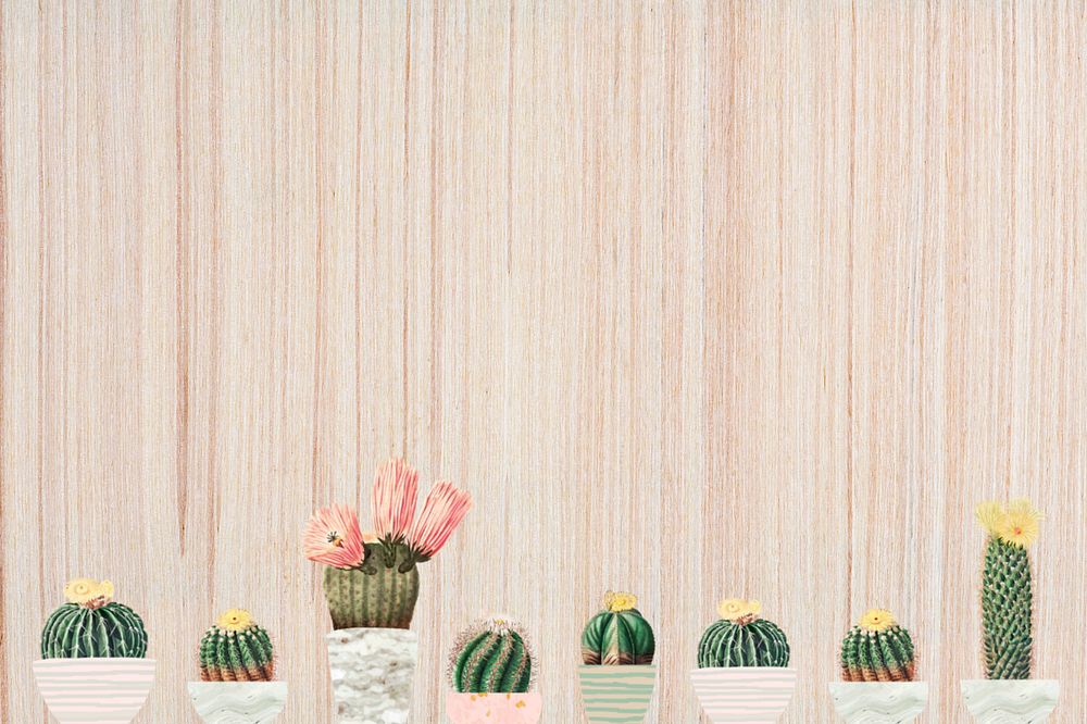 Cactus illustration border, editable background design