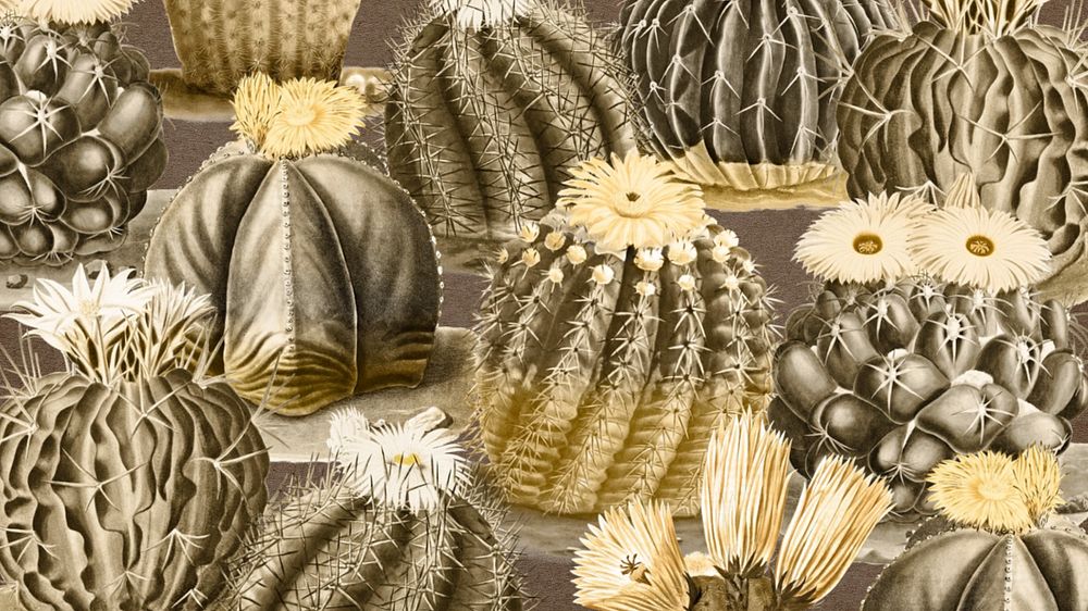Cactus illustration vintage desktop wallpaper, editable design