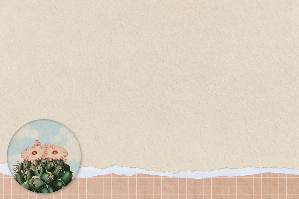 Cactus illustration border, editable background design