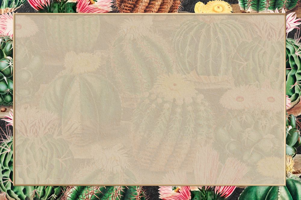 Cactus illustration border frame, editable botanical design