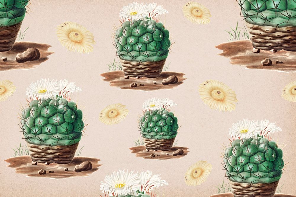 Cacti pattern illustration, editable botanical design