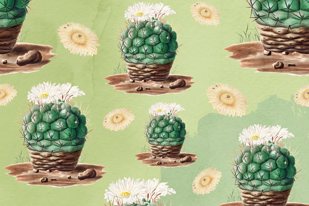 Cactus pattern illustration, editable botanical design