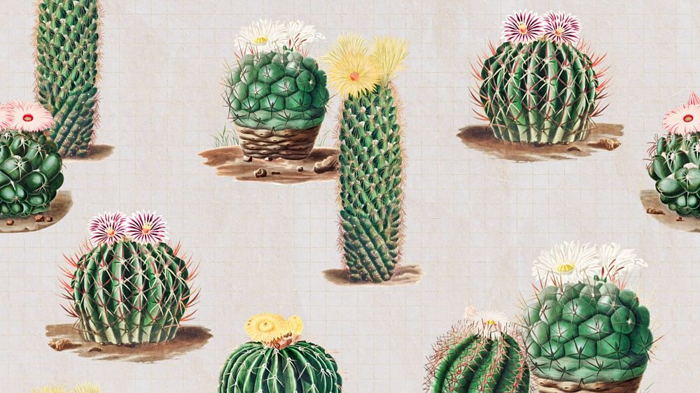 Cactus illustration desktop wallpaper, editable design