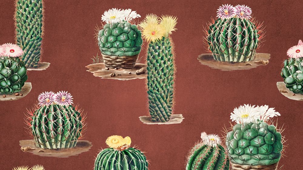 Cactus illustration desktop wallpaper, editable design