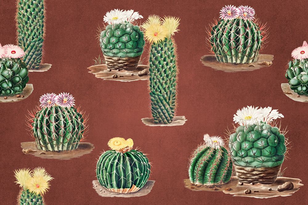 Cacti pattern illustration, editable botanical design