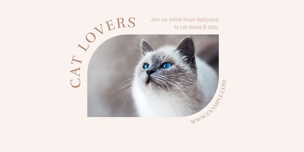 Cat lover Twitter ad template, editable text & design