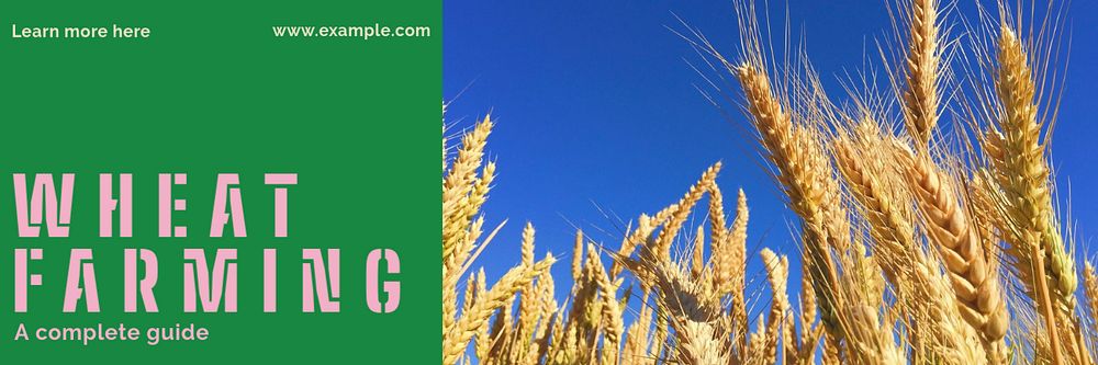 Wheat farming email header template, editable design