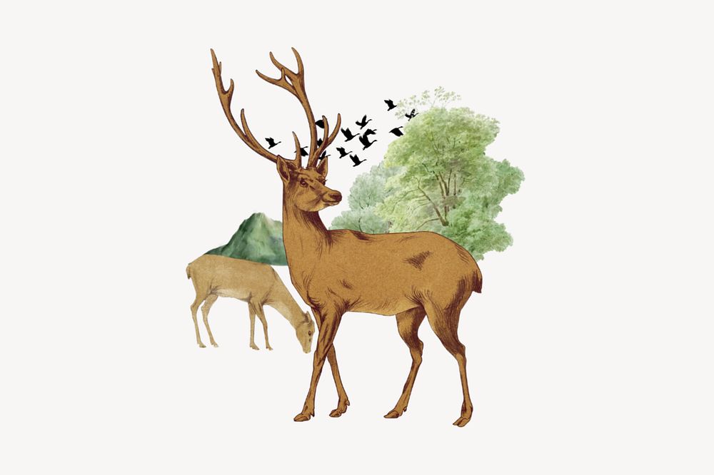 Stag deer, wild animal editable collage art